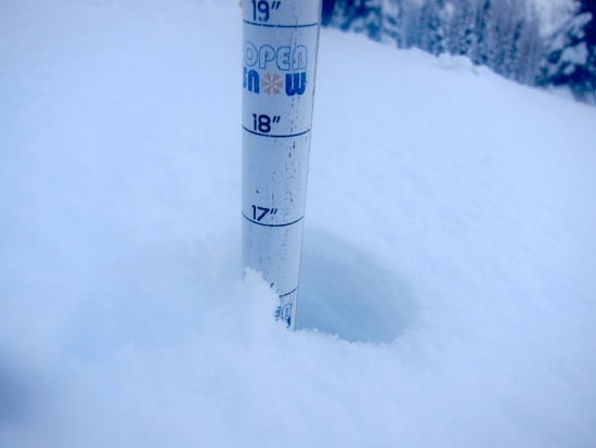 16 inches of light snow