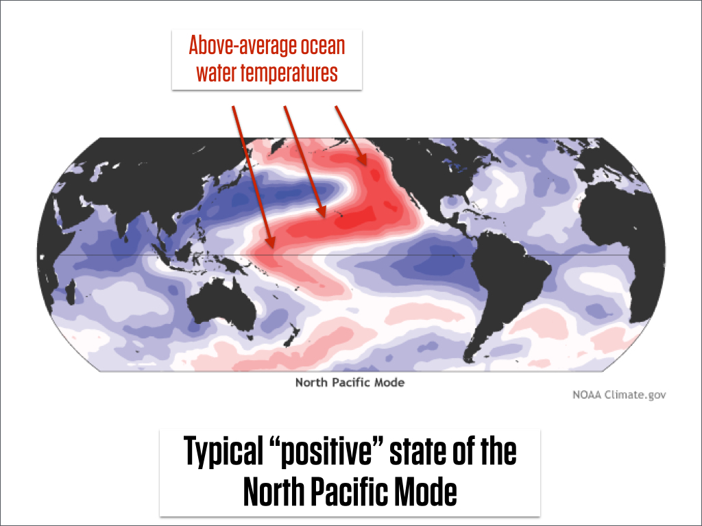 North Pacific Mode