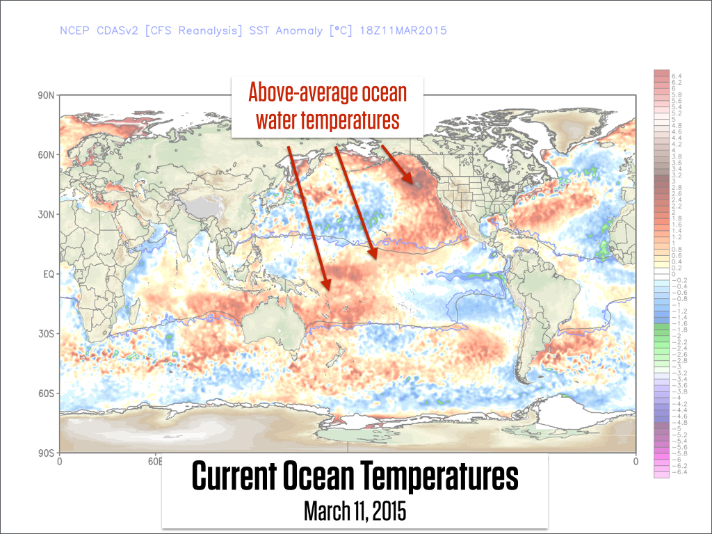 Current Ocean Temperatures