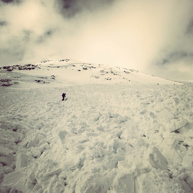 Snowfields Avalanche Debris